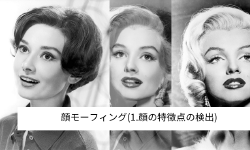 Featured image of post 顔モーフィング(1.顔の特徴点の検出)